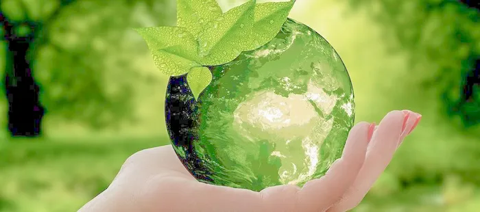 再生紙ってどんな紙?